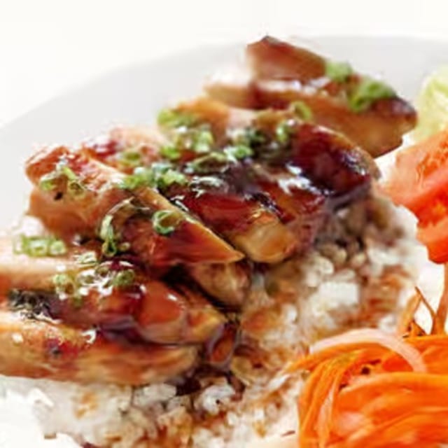 M15 Teriyaki Chicken with Rice.
